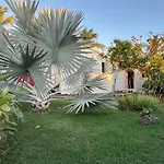 Les Bungalows De Louisiane